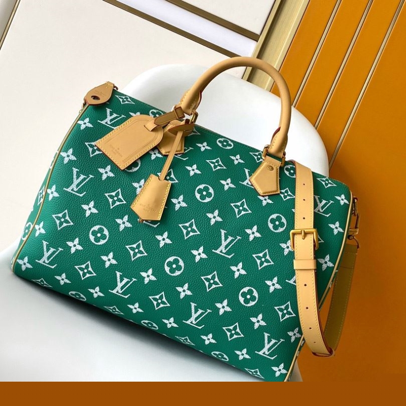 LV Travel Bags